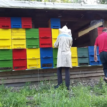 Tara Maison d'hôtes