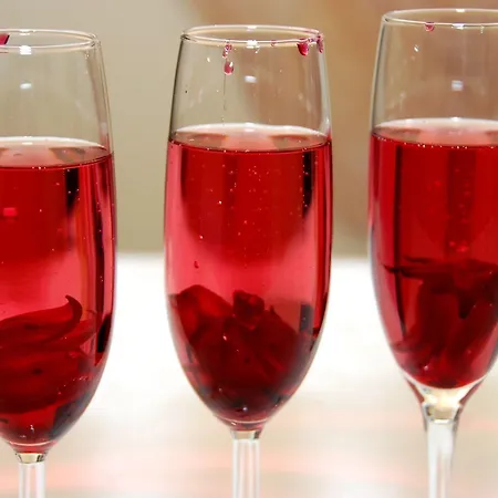 Gasthuis Tara Moravske-Toplice