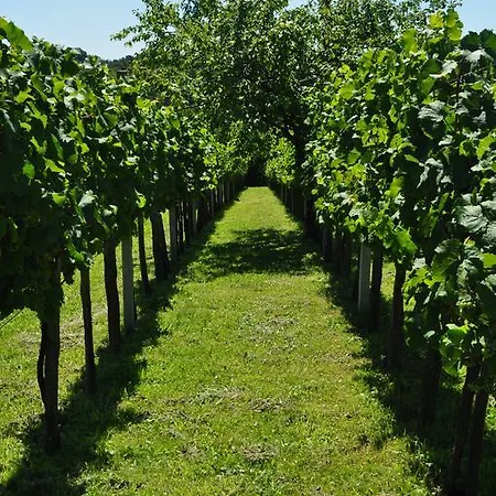 Maison d'hôtes Tara