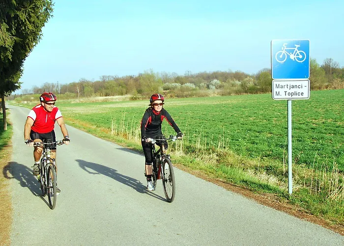 Гостевой дом Tara