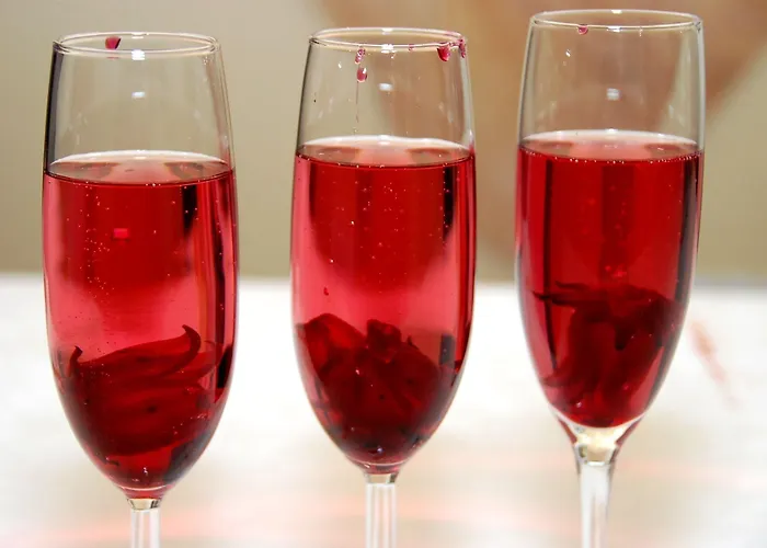 Gasthof Tara Moravske Toplice