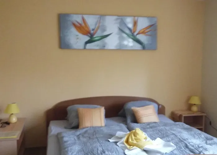 Tara Гостевой дом 3*