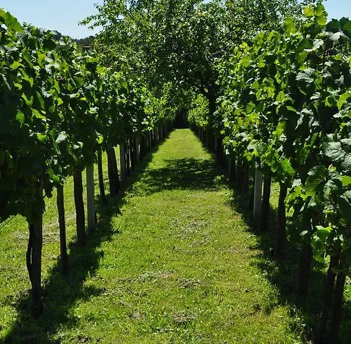 Гостевой дом Tara