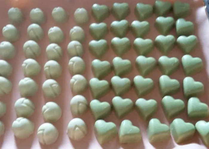 Гостевой дом Tara Моравске-Топлице